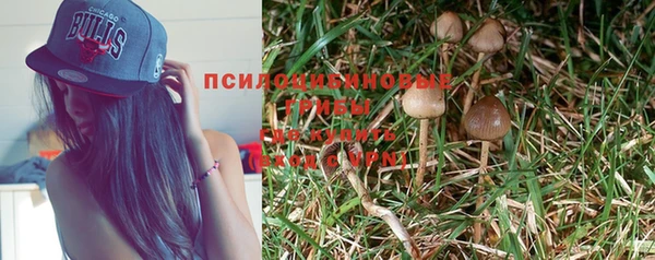 ALPHA PVP Магас