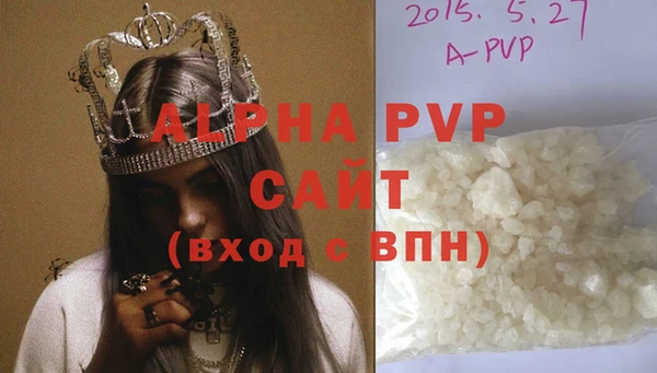 молекула духа Магадан