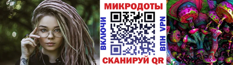 Псилоцибиновые грибы Psilocybe  закладки  Мантурово 
